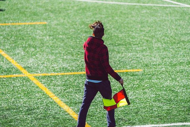 提供了新的 提供了新的