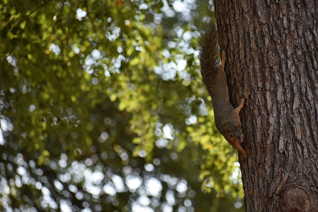 球的热爱 球的热爱